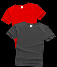 Micro Dry Active Tee